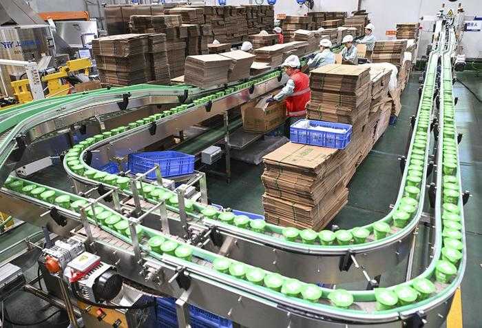 工廠高效生產的秘密：一文掌握包裝設備的正確使用與維護技巧